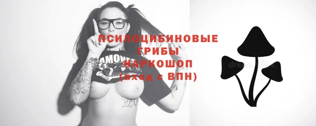 прущий лед Верея