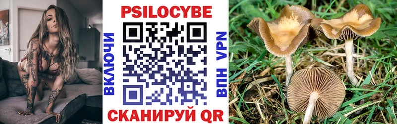 Галлюциногенные грибы Psilocybine cubensis это Telegram Тбилисская